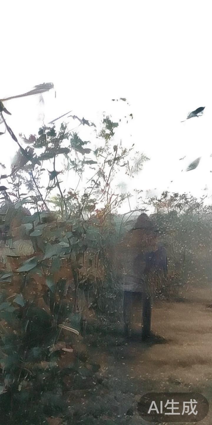 深入分析万博体育火爆原因及未来发展趋势探索 随着体育竞技和娱乐产业的不断融合,近年来万博体育平